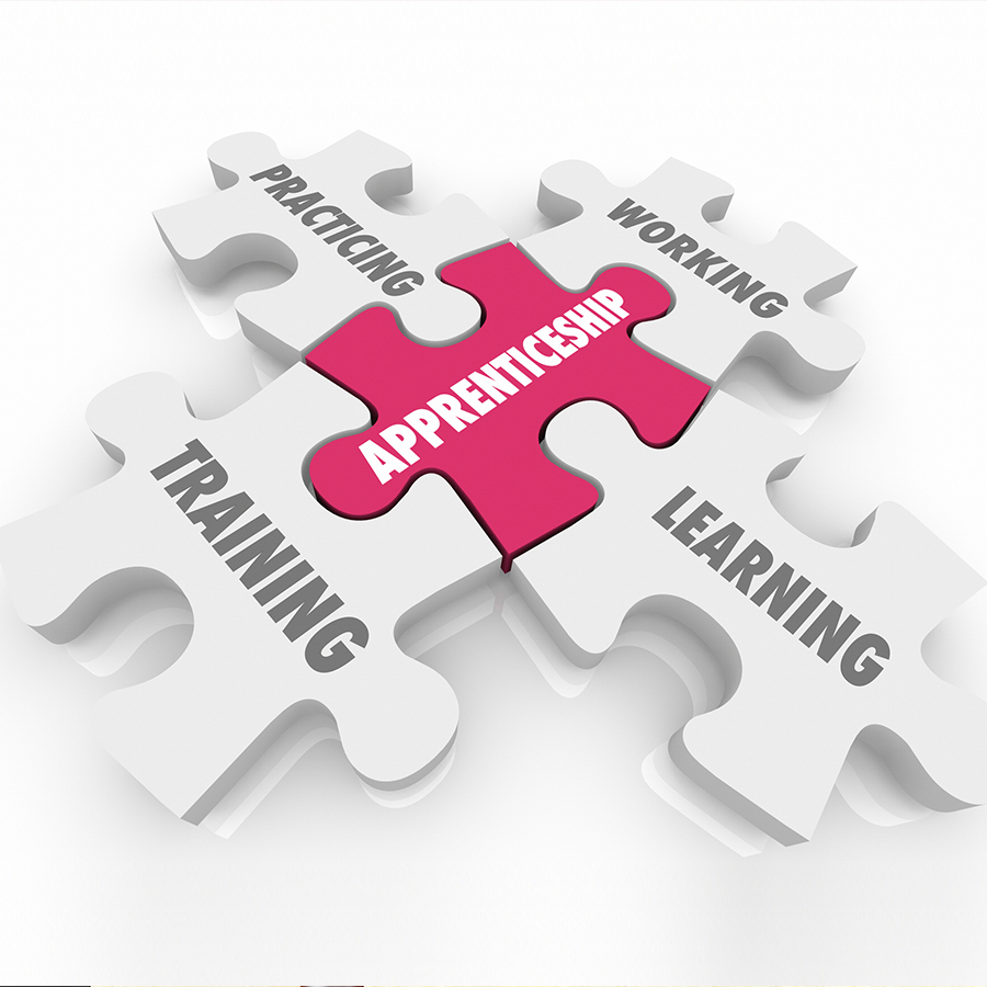 A puzzle with the words apprenticeship, training and learning on it.