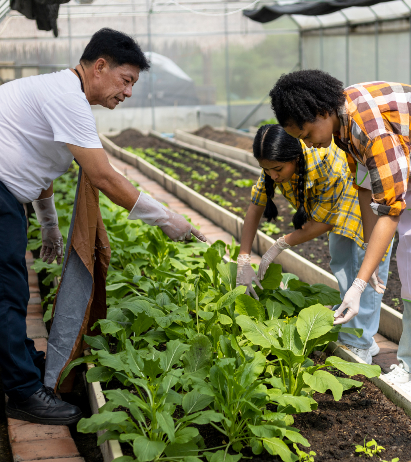 A group of people working in an indoor garden.